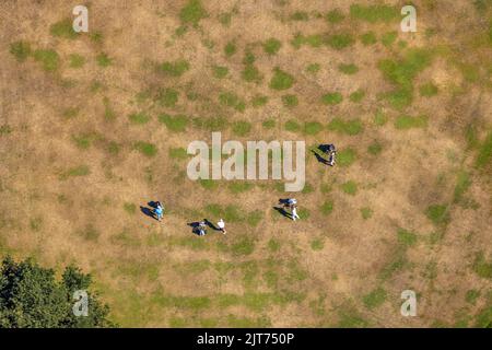 Vista aerea, campo da golf Golfclub Haus Leythe con golfisti, prato appassito con golfisti, siccità, Resser Mark, Gelsenkirchen, zona Ruhr, Nord Reno-noi Foto Stock