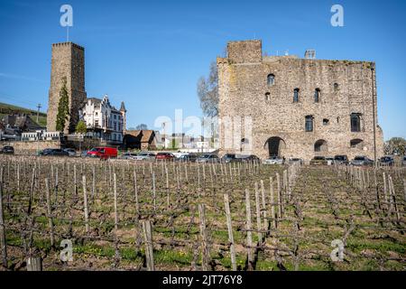 Castelli di Boosenburg e Bromserburg, Rüdesheim am Rhein, Foto Stock