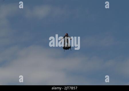 Spa, Belgio. 28th ago, 2022. SPA-FRANCORCHAMPS, Belgio. , . Flying men - Credit: SPP Sport Press Photo. /Alamy Live News Credit: SPP Sport Press Photo. /Alamy Live News Foto Stock