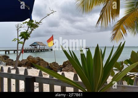 Molo nel Pigeon Point Heritage Park, Pigeon Point, Tobago Foto Stock