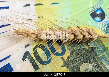 Crisi di grano, mancanza di grano e raccolto. Grani di grano sullo sfondo delle banconote in euro. Il concetto di crisi alimentare mondiale: Esportazione e importazione Foto Stock