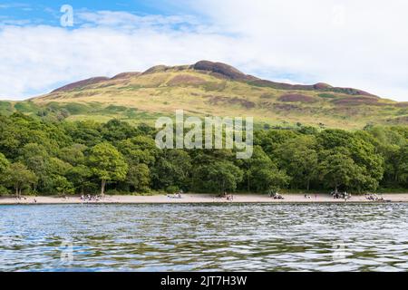 Millarochy Bay Beach, sulla riva orientale del Loch Lomond, con Conic Hill dietro, vicino a Balmaha, Loch Lomond, Scozia, Regno Unito Foto Stock