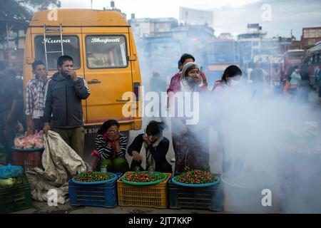 Lalitpur, Nepal. 28th ago, 2022. La gente si copre da fumo diffuso per controllare la dengue in Lalitpur. Secondo la decisione di Epidemiologia e controllo delle malattie (EDCD), il numero di persone affette da febbre dengue ha raggiunto 1000 in tutta la valle di Kathmandu, e almeno 50-60 pazienti ricoverati in ospedale al giorno nella valle di Kathmandu. Credit: SOPA Images Limited/Alamy Live News Foto Stock