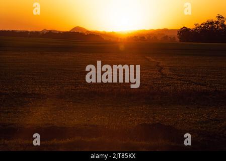 Paesaggi del bioma pampa al tramonto. Nel tardo pomeriggio sul campo. Paesaggi rurali. Crepuscolo in aree agricole. Natura. Colori e luci crepuscolari. Senta Foto Stock