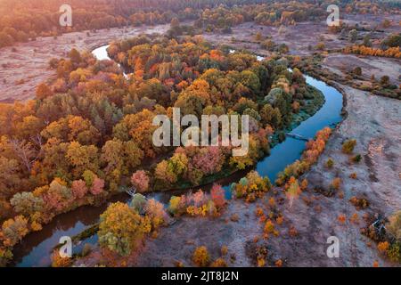 Un meraviglioso paesaggio autunnale. Foresta decidua gialla e di conifere vicino al fiume. Nebbia mattutina e gelo. Vista drone. Foto Stock