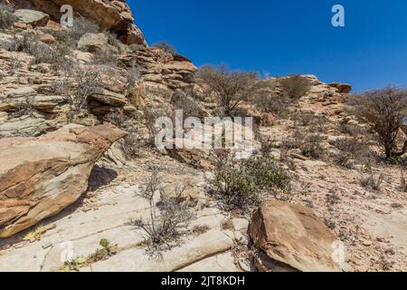 Paesaggio intorno Laas Geel dipinti rupestri, Somaliland Foto Stock