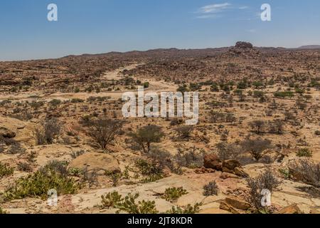 Paesaggio intorno Laas Geel dipinti rupestri, Somaliland Foto Stock