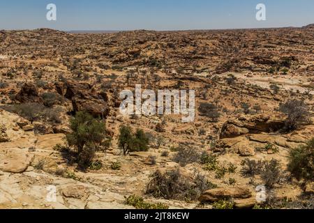 Paesaggio intorno Laas Geel dipinti rupestri, Somaliland Foto Stock