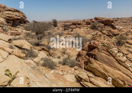 Paesaggio intorno Laas Geel dipinti rupestri, Somaliland Foto Stock