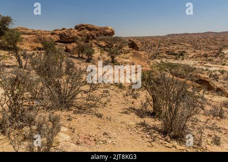 Paesaggio intorno Laas Geel dipinti rupestri, Somaliland Foto Stock