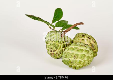 Frutti maturi di mele da zucchero (annona squamosa) su fondo bianco Foto Stock