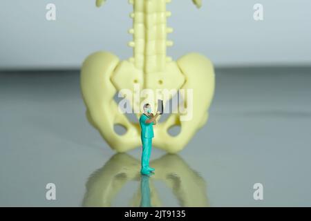 Fotografia di figura giocattolo delle persone in miniatura. Un'infermiera medica che guarda la pellicola di scansione dei risultati radiologici davanti allo scheletro osseo dell'anca. Foto dell'immagine Foto Stock