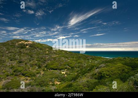 Punto Nepean, Victoria, Australia, in una giornata di sole. L'arbusto aveva un bel colore turchese, che contrastava con il verde della macchia costiera. Foto Stock
