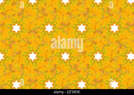 Sfondo autunnale astratto realizzato con foglie di acero pigmentato e stelle bianche. Foto Stock