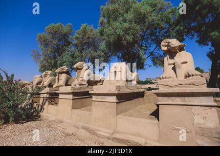 Antica RAM teste Sfinge statue al complesso del Tempio di Karnak vicino a Luxor, Egitto Foto Stock