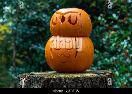 Sheffield, Regno Unito - 31 Ott 2019: Zucca intagliata o lanterna di jack o all'Eccleshall Woods Halloween Trail Foto Stock