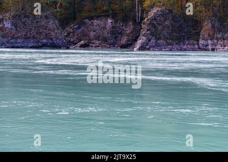 Fiume di montagna blu che scorre tra le rocce con alberi gialli, valle del fiume turchese di montagna in autunno.Scenic Area del fiume Katun sull'alta montagna b Foto Stock