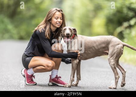 Ragazza adolescente inginocchia e cuccia il suo cane Weimaraner durante una passeggiata nella natura. Foto Stock