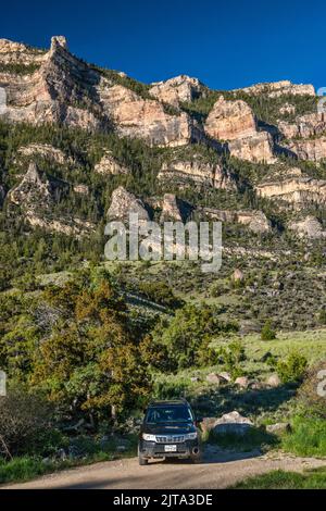 Scogliere su Shell Canyon, area picnic Post Creek, mattina presto, Bighorn Mountains, Bighorn National Forest, Wyoming, STATI UNITI Foto Stock