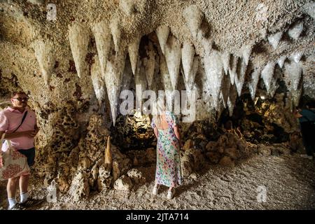 Gravesham, Regno Unito. 29.August 2022 Painshill il premiato giardino paesaggistico del 18th ° secolo la spettacolare Grotta è una grotta magica e naturalistica con acqua scintillante, gorgogliante, roccia ruvida e stalattiti ricoperti di cristalli scintillanti. Paul Quezada-Neiman/Alamy Live News Foto Stock