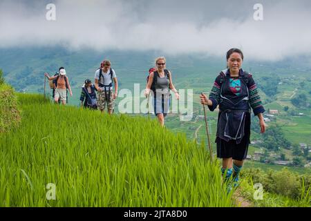 Vietnam, regione di Sapa. Il trekking è l'attrazione più popolare del nord del Vietnam. La tribù Hmong si prende cura della maggior parte dei turisti che visitano Foto Stock