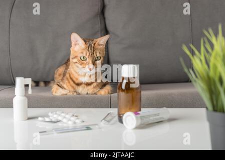 Un gatto con un raffreddore o influenza si siede su un divano vicino a un tavolo con farmaci. Il concetto di raffreddore. Foto Stock