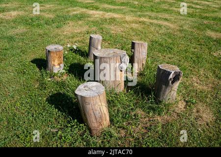 vista dall'alto primo piano di tronchi seduti tronco di legno con sedie e tavolo da pranzo all'aperto in erba verde prato campeggio all'aperto Foto Stock