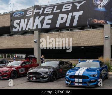 FERNDALE, MI/USA - 20 AGOSTO 2022: Ford Shelby Snake Pit, su Mustang Alley, sulla rotta Woodward Dream Cruise. Foto Stock