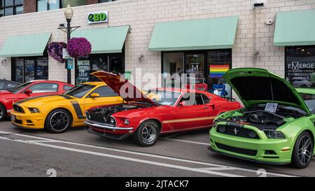 FERNDALE, MI/USA - 20 AGOSTO 2022: Quattro auto Ford Mustangs (Boss, Mach 1, Shelby Cobra) a Mustang Alley sulla rotta Woodward Dream Cruise. Foto Stock