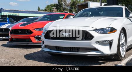 ROYAL OAK, MI/USA - 18 AGOSTO 2022: Tre auto Ford Mustang 2022 (Shelby Cobra, Mach 1, GT) sulla rotta Woodward Dream Cruise. Foto Stock