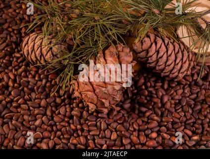 Coni e noci di cedro commestibili con rami di pino. Foto Stock