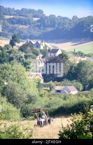 Pics - Adrian Sherratt - 07976 237651 Un coltivatore taglia un campo in preperazione per la produzione di fieno a Coombe vicino a Wotton-Under-Edge, Gloucestershire Today (27 Foto Stock