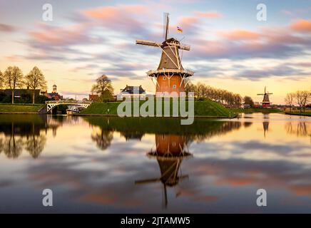 La città di Dokkum, nella provincia di Friesland, ha due mulini a vento che fungono da mulini a grano, la loro posizione panoramica li rende un'attrazione popolare. Foto Stock