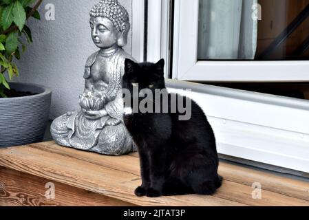 Un primo piano di un gatto nero con statua argentata di Buddha seduto sul davanzale Foto Stock