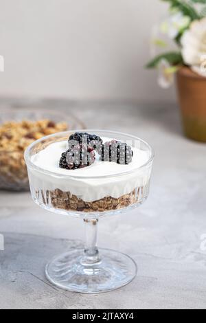 Dessert con yogurt, muesli fatti in casa e more fresche, servito in vetro chiaro a motivi alla moda, sfondo grigio. Sana colazione vegana o snack. Spazio di copia, messa a fuoco selettiva Foto Stock