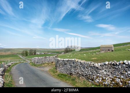 Vista di Henside Road da Malham Moor, guardando la montagna di Pen-y-ghent, Yorkshire Dales National Park, Inghilterra, Regno Unito Foto Stock