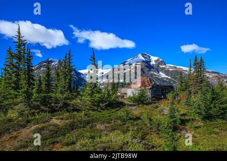 Una vecchia cabina di minatore abbandonata in alto sulle montagne costiere della Columbia Britannica Foto Stock