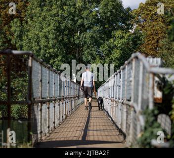 Uomo che cammina un cane su un ponte con alberi sullo sfondo Foto Stock