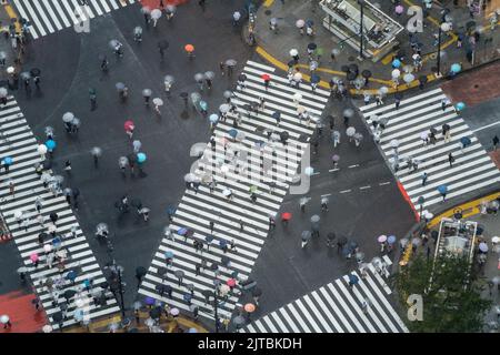 I pedoni con ombrelloni attraversano l'incrocio multidirezionale, conosciuto come Shibuya Crossing nel quartiere Shibuya, Tokyo, Giappone. L'incrocio è considerato l'incrocio pedonale più trafficato del mondo. Foto Stock