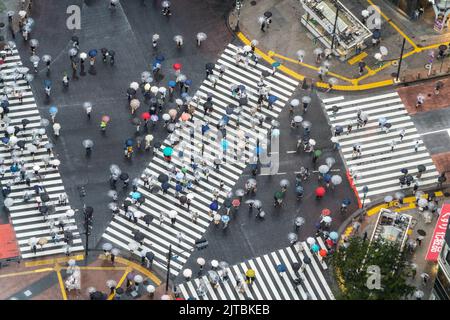 I pedoni con ombrelloni attraversano l'incrocio multidirezionale, conosciuto come Shibuya Crossing nel quartiere Shibuya, Tokyo, Giappone. L'incrocio è considerato l'incrocio pedonale più trafficato del mondo. Foto Stock