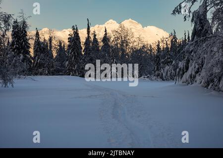 WA21886-00...WASHINGTON - tardo pomeriggio, inverno, vista dal parcheggio coperto di neve al Monte Pilchuck Trailhead nel Monte Baker - Snoqualmie Foto Stock