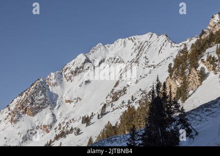 Una splendida vista sulle montagne dello Utah ricoperte di conifere e neve primaverile tarda, USA Foto Stock