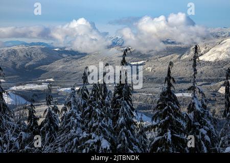 WA21887-00...WASHINGTON - Vista invernale dal parcheggio del sentiero Mount Pilchuck che si affaccia sulla Mountain Loop Highway nella Robe Valley. Foto Stock