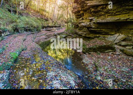 Raven Run Creek e gola nel Raven Run Nature Sanctuary di Lexington, Kentucky Foto Stock