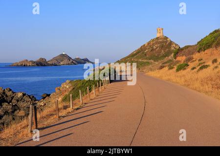 Le Iles Sanguinaires (Isole Sanguinaires) vicino Ajaccio (Corse-du-Sud) sull'isola di Corsica, Francia Foto Stock