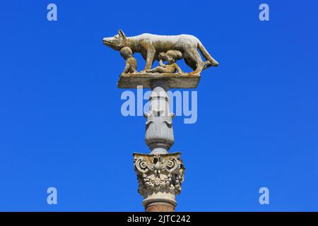 Il Lupo Capitolino succhia Romolo e Remo in Piazza del Duomo a Siena (Toscana) Foto Stock