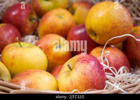 Cestino di mele di gala fresche e biologiche rosse Foto Stock