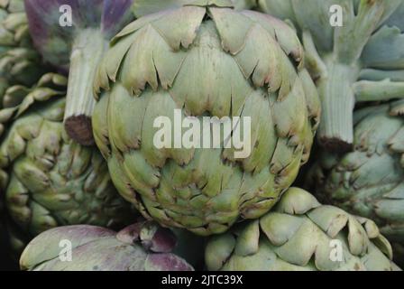 Carciofi, pelo fresco di carciofi Foto Stock