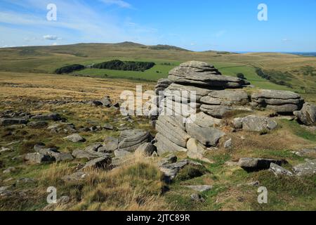 Guarda avanti, Belstone Tor, Row Tor, West Mill Tor e Yes Tor in the Distance, Dartmoor, Devon, Inghilterra, Regno Unito Foto Stock