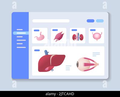 impostare gli organi interni anatomici del corpo umano impostare su schermo digitale anatomia medicina scienza sanità concetto Illustrazione Vettoriale